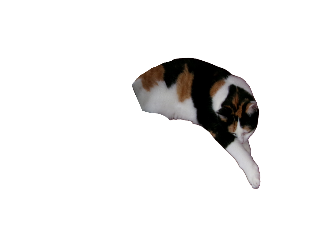Binoo