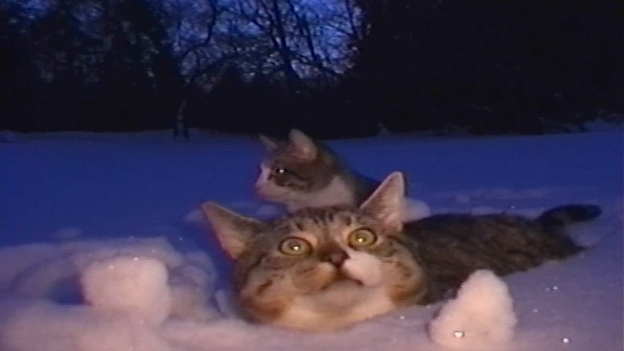 Latest video thumbnail