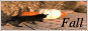 Static Button