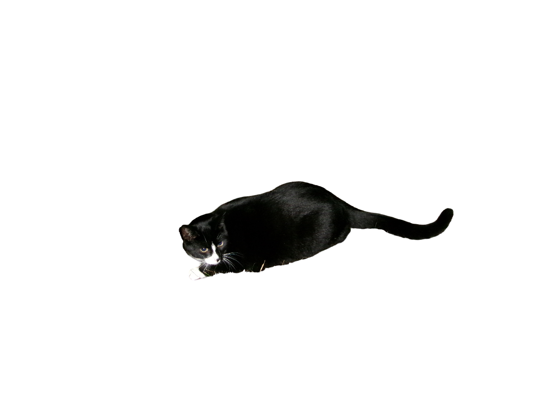 Frank