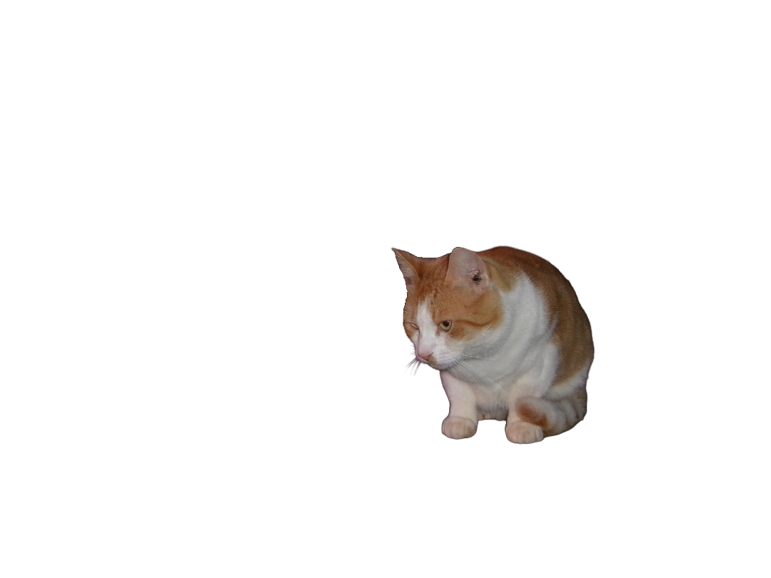 Meow