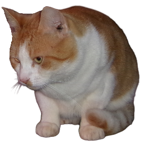 Meow